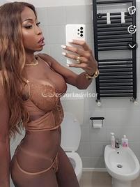 Leona Pantera-2551507