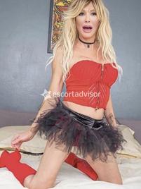 Cassia Senna transex-2806992