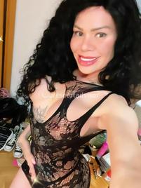 Veronica-1809157