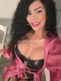 Veronica-1863073