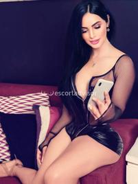 Ariadna-1546589