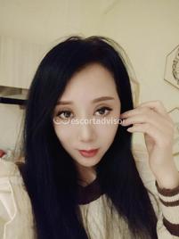 Lina-2223352